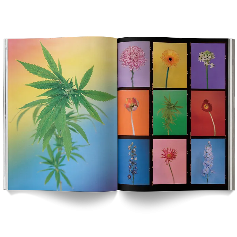 A Weed is a Flower