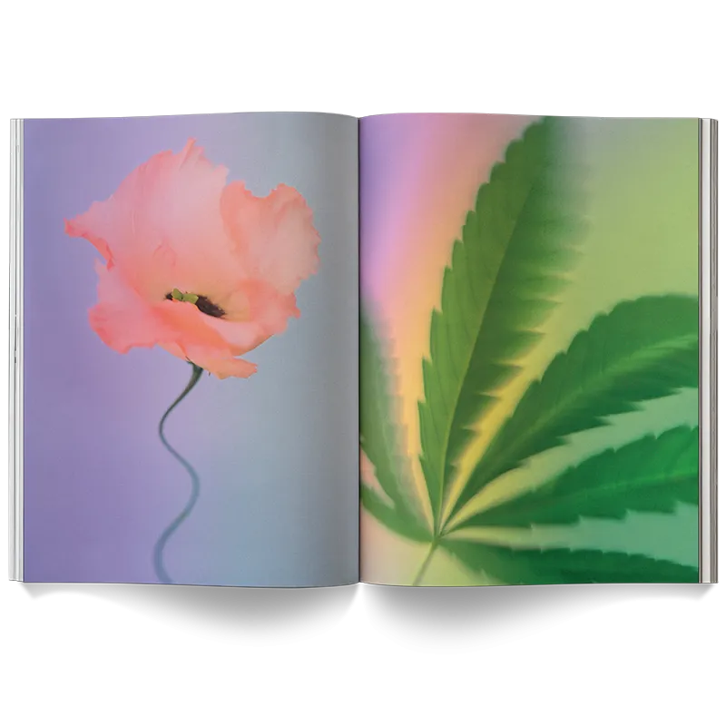A Weed is a Flower