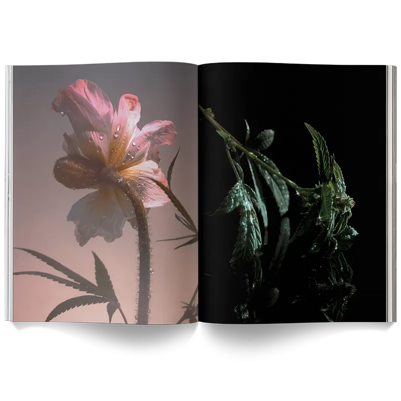 A Weed is a Flower