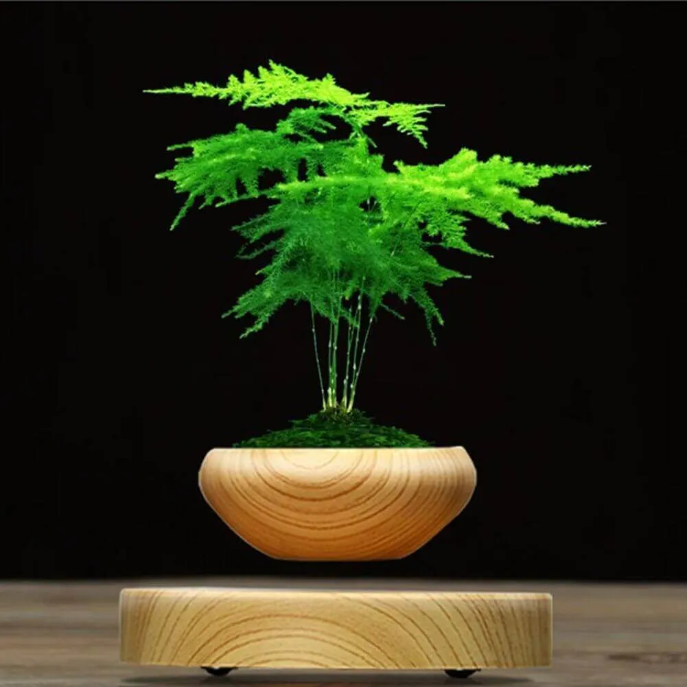 Magnetic Levitation Plants Flower Pot