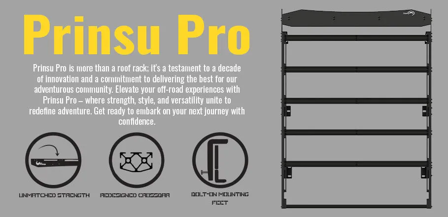 Prinsu PRO 2010  4Runner Full Roof Rack