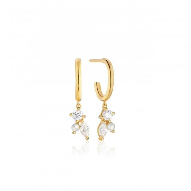 White Zirconia Adria Tre Creolo Earrings SJ-E12226-PCZ-YG